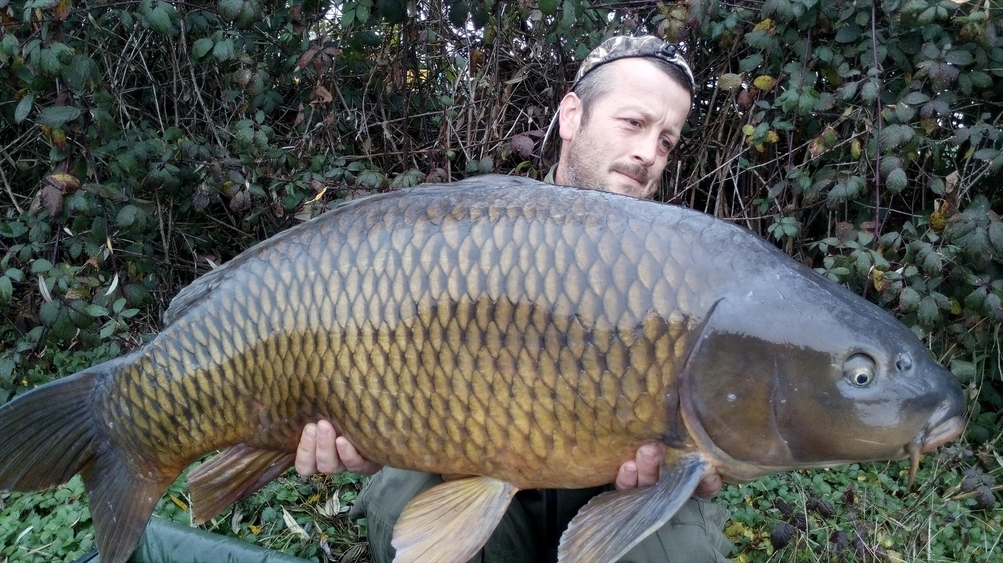 2014 - img201412041016491.jpg